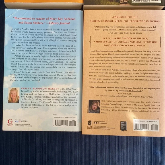 Popular Booktok Book Bundle of 8 Just for the Summer, The Many Daughters of Afon - Picture 7 of 14